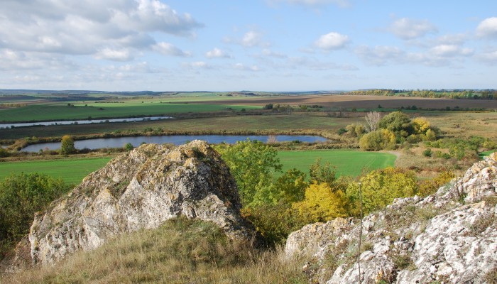 Realizace lokálních biocenter