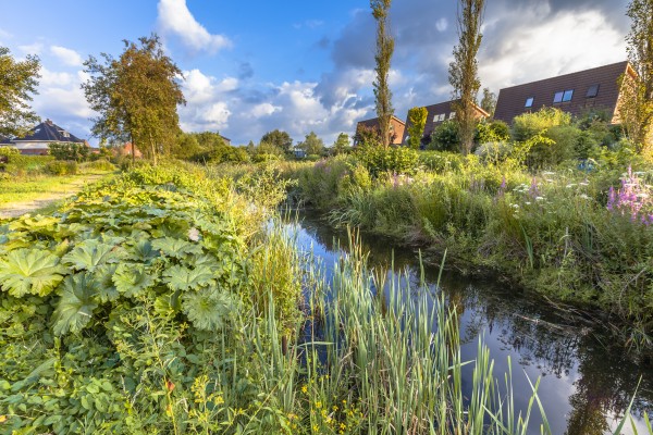 Kanalizace v povodí potoka Turold a v ulici Hraničářů