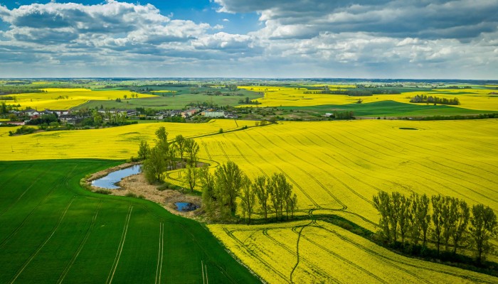 Diverzifikace krajiny